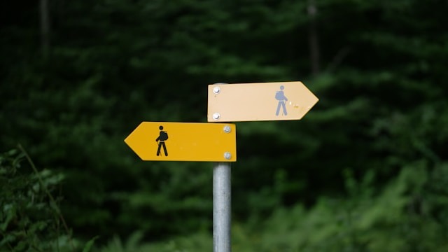 Professionnel face au choix entre coaching individuel et bilan de compétences pour sa reconversion
