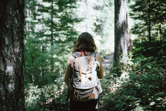 Adulte en contact avec la nature illustrant l'intelligence naturaliste et ses bienfaits sur la connaissance de soi